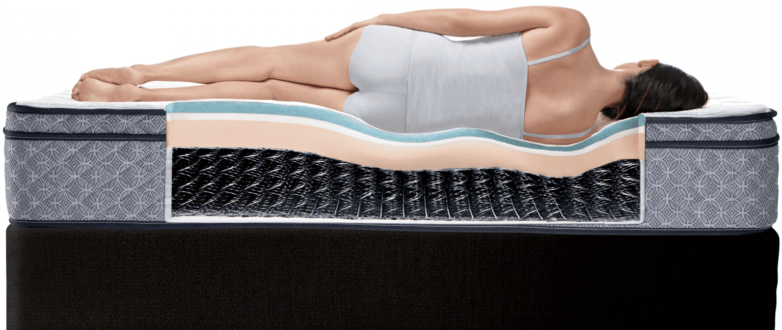 Sealy mattress cross section