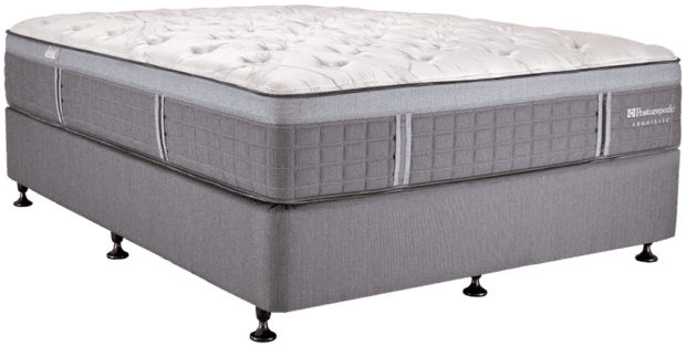 Exquisite Bed Collection | Sealy Posturepedic