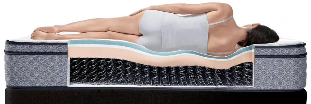 Sealy performance civic pillow best sale top price