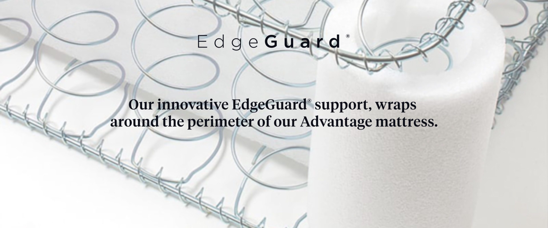 Advantage 9 Desktop Banner Advantage EdgeGuard