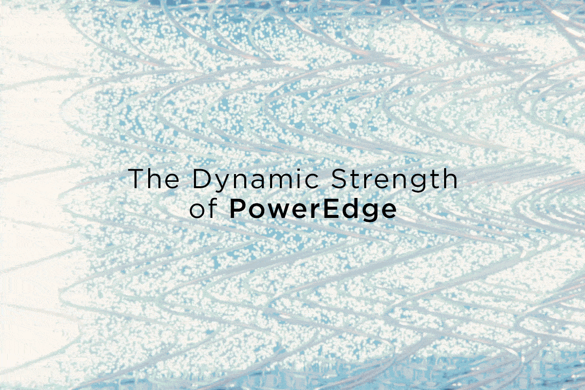 202606 2 Postureseries PowerEdge GIF