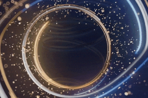 Acclaim Ultra coil technology Acclaim Ultra coil technology
