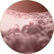 Exq24 - SmarTex Fabrics