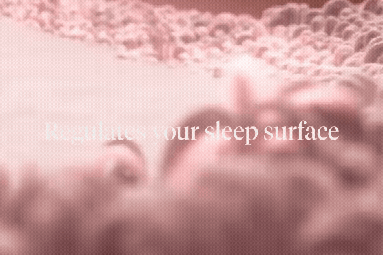 Exquisite-Comfort Bridgegif Exquisite-Comfort Bridgegif